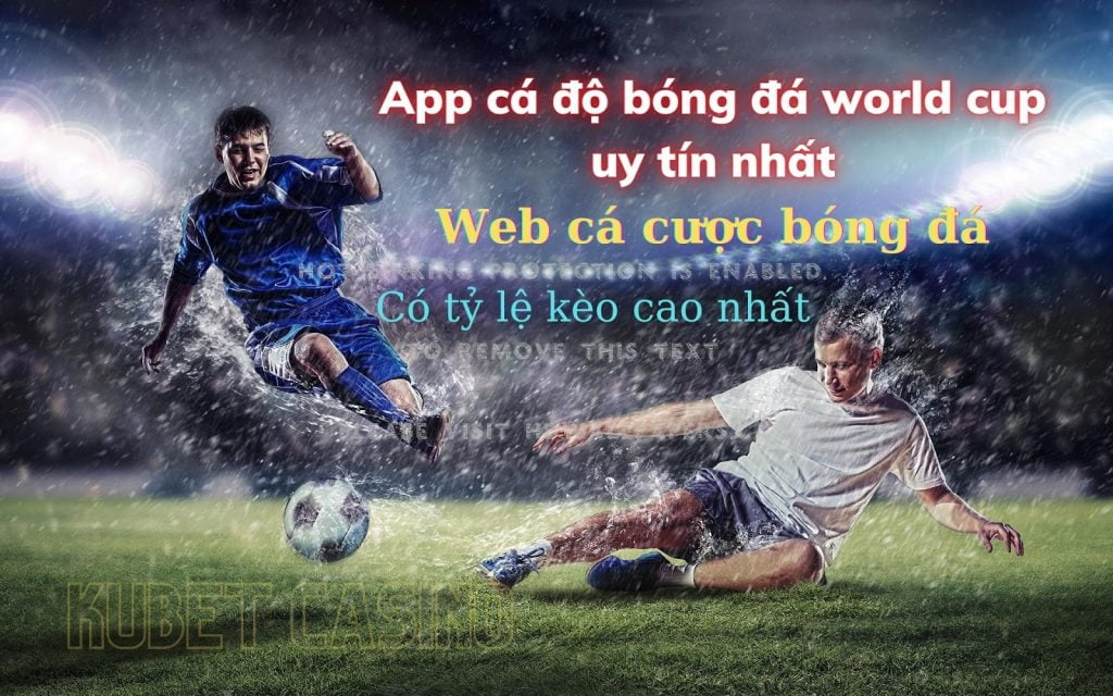 App cá độ bóng đá world cup uy tín nhất năm 2022 - Web cá độ cá cược bóng đá có tỷ lệ kèo cao nhất